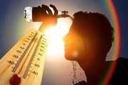 Heat is an important environmental and occupational health hazard