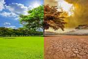 Climate change a global health emergency